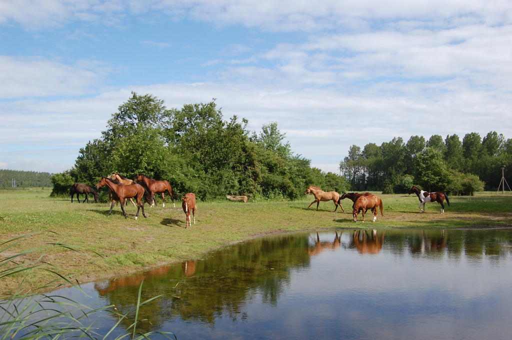 Lelymare Logies Lejlighed Lelystad Eksteriør billede