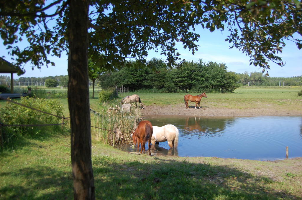 Lelymare Logies Lejlighed Lelystad Eksteriør billede